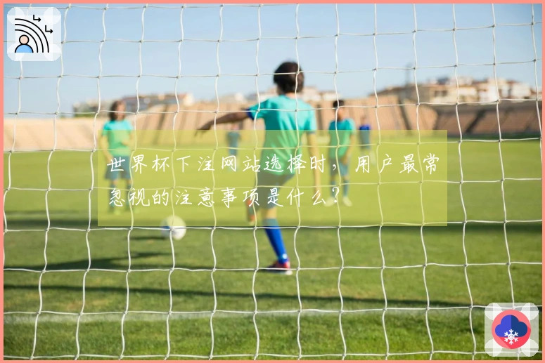 世界杯下注网站选择时，用户最常忽视的注意事项是什么？