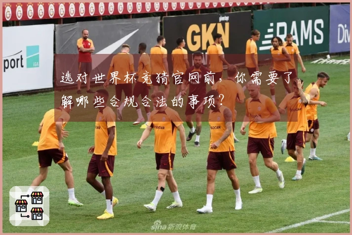 选对世界杯竞猜官网前，你需要了解哪些合规合法的事项？