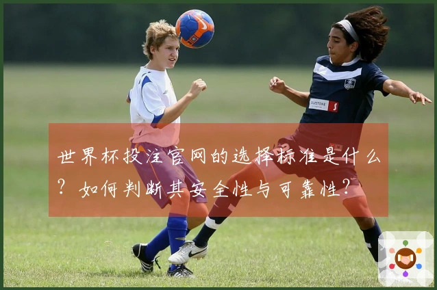 世界杯投注官网的选择标准是什么？如何判断其安全性与可靠性？