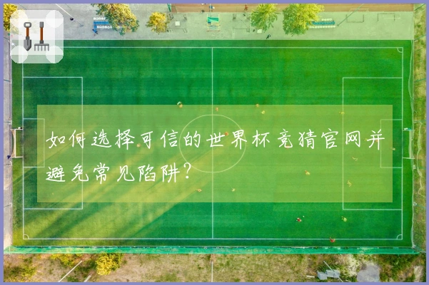 如何选择可信的世界杯竞猜官网并避免常见陷阱?