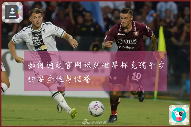 如何通过官网识别世界杯竞猜平台的安全性与信誉