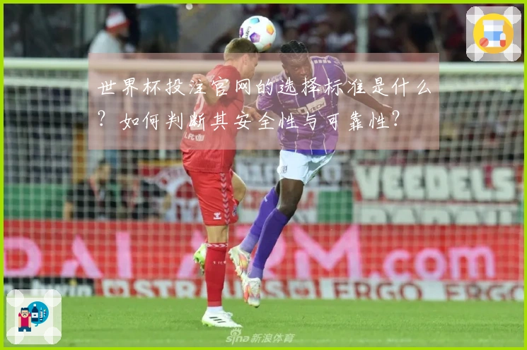 世界杯投注官网的选择标准是什么？如何判断其安全性与可靠性？