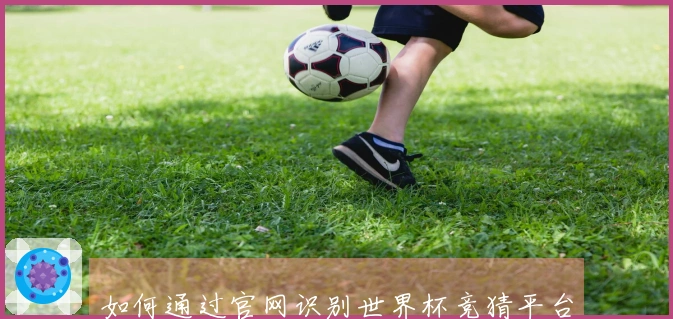 如何通过官网识别世界杯竞猜平台的安全性与信誉